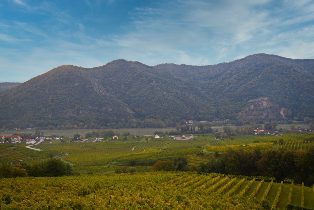 Wachau