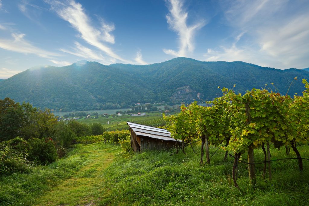 Wachau