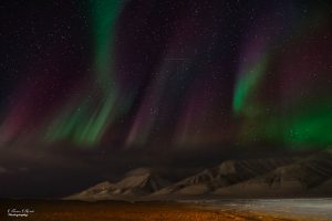 Spitzbergen