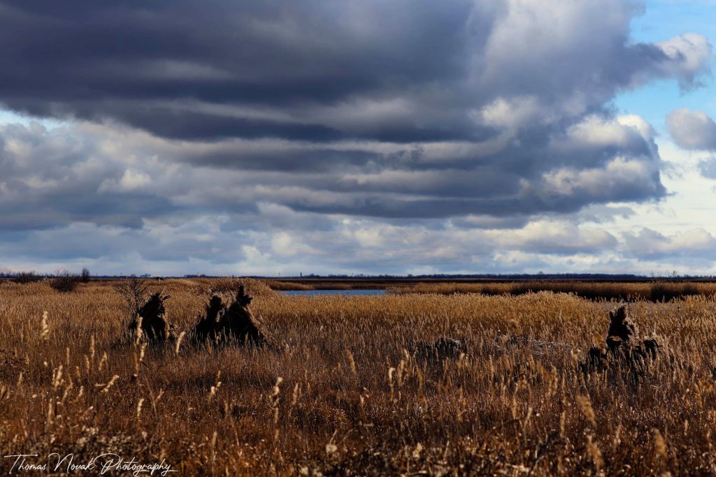 Nationalpark Neusiedlersee