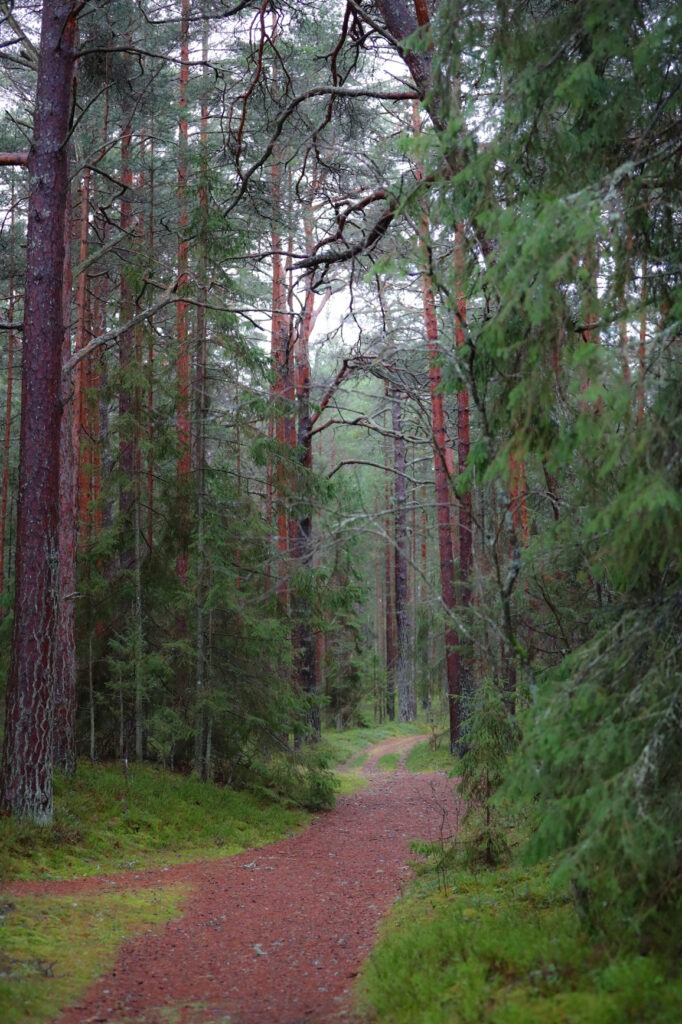 Kemeri Nationalpark