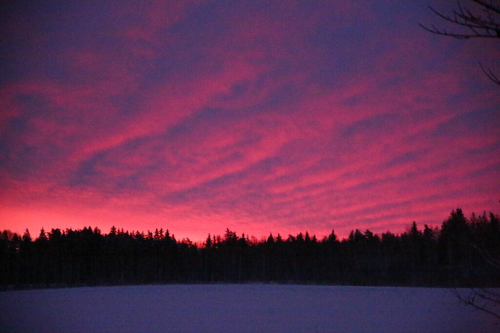 Gauja Nationalpark