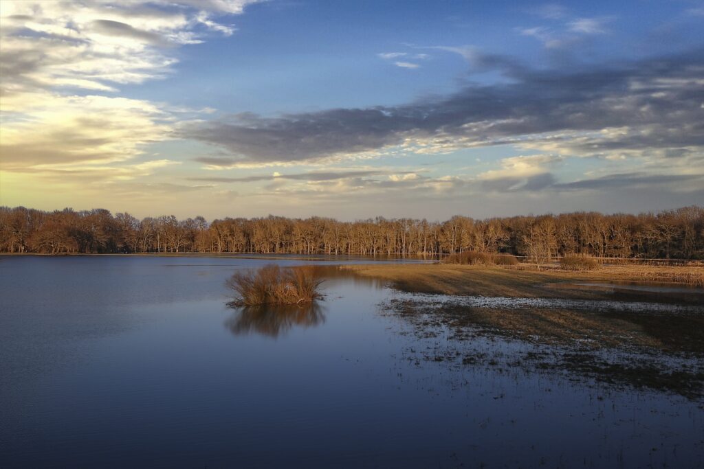 Thomas Novak Photography