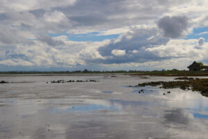 Irland