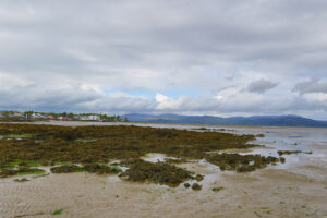 Irland