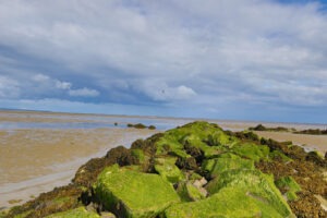 Irland
